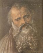 Albrecht Durer Head of the Apostle Philip oil painting on canvas